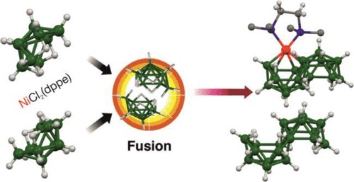 Macropolyhedral Nickelaboranes from the Metal-Assisted Fusion of KB9H14