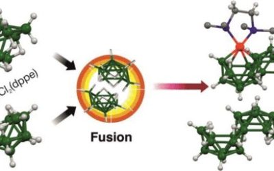 Macropolyhedral Nickelaboranes from the Metal-Assisted Fusion of KB9H14